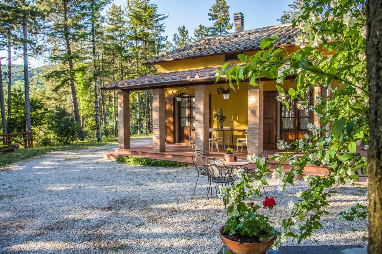 Il Ginepro Villa Кортона Екстериор снимка